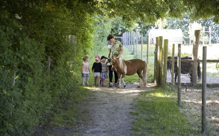 Børn og voksen går ned ad sti med pony