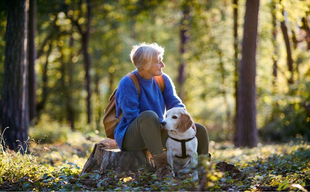 Kvinde med hund i skov foto: colourbox